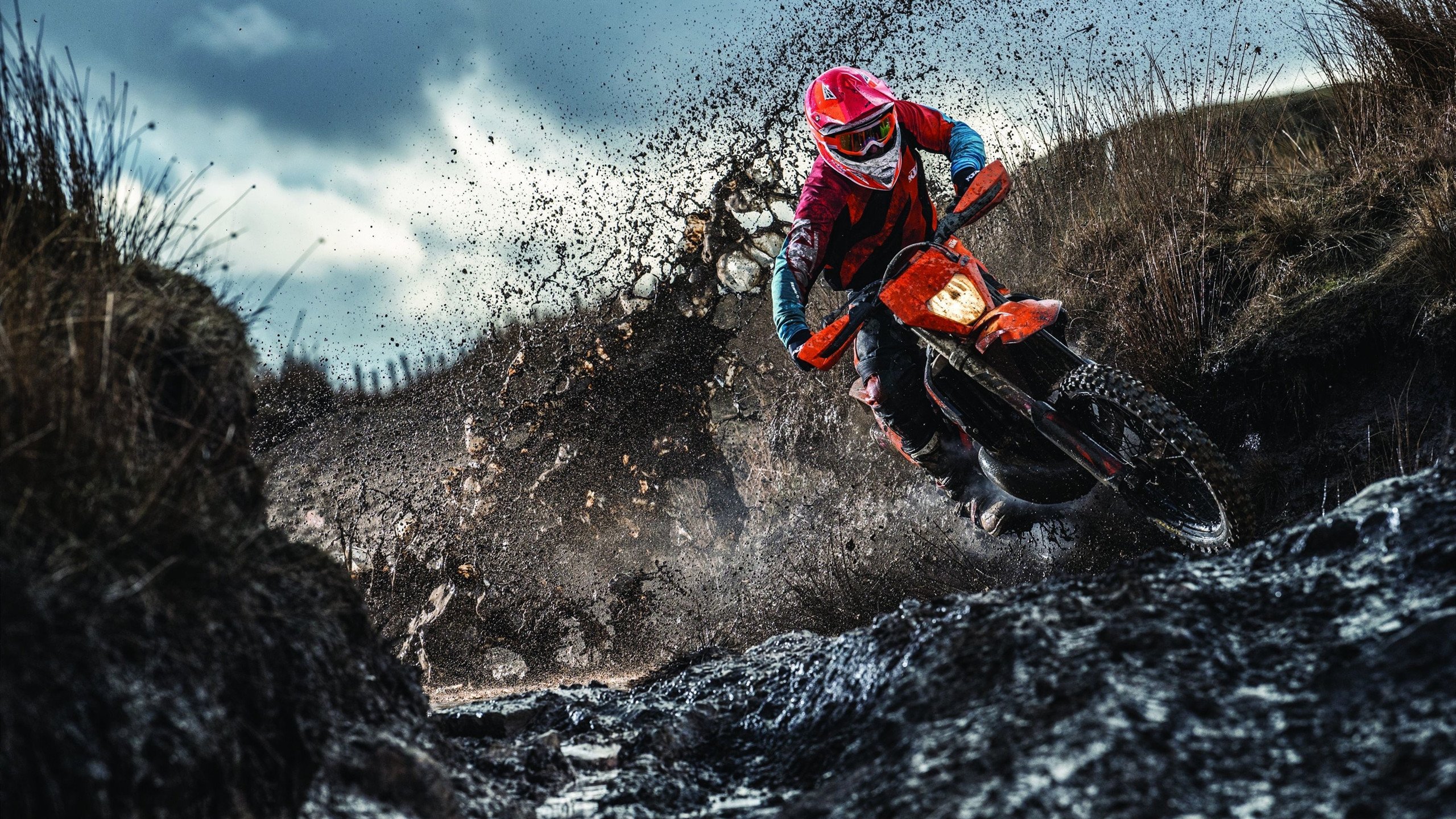 开云平台-金羽淬冰锋，当团队压制的法式大餐遇见个人锋芒的烟火表演